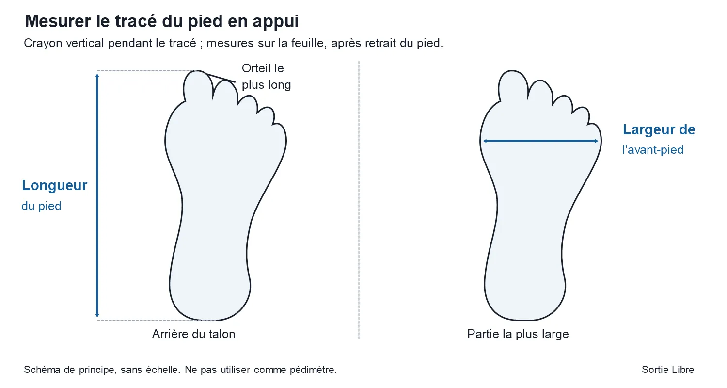 Schéma de mesure du pied en appui : longueur de l’arrière du talon à l’orteil le plus long et largeur transversale de l’avant-pied.